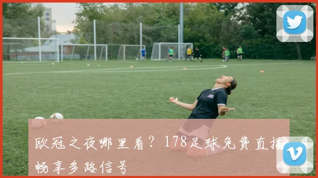 欧冠之夜哪里看?178足球免费直播畅享多路信号
